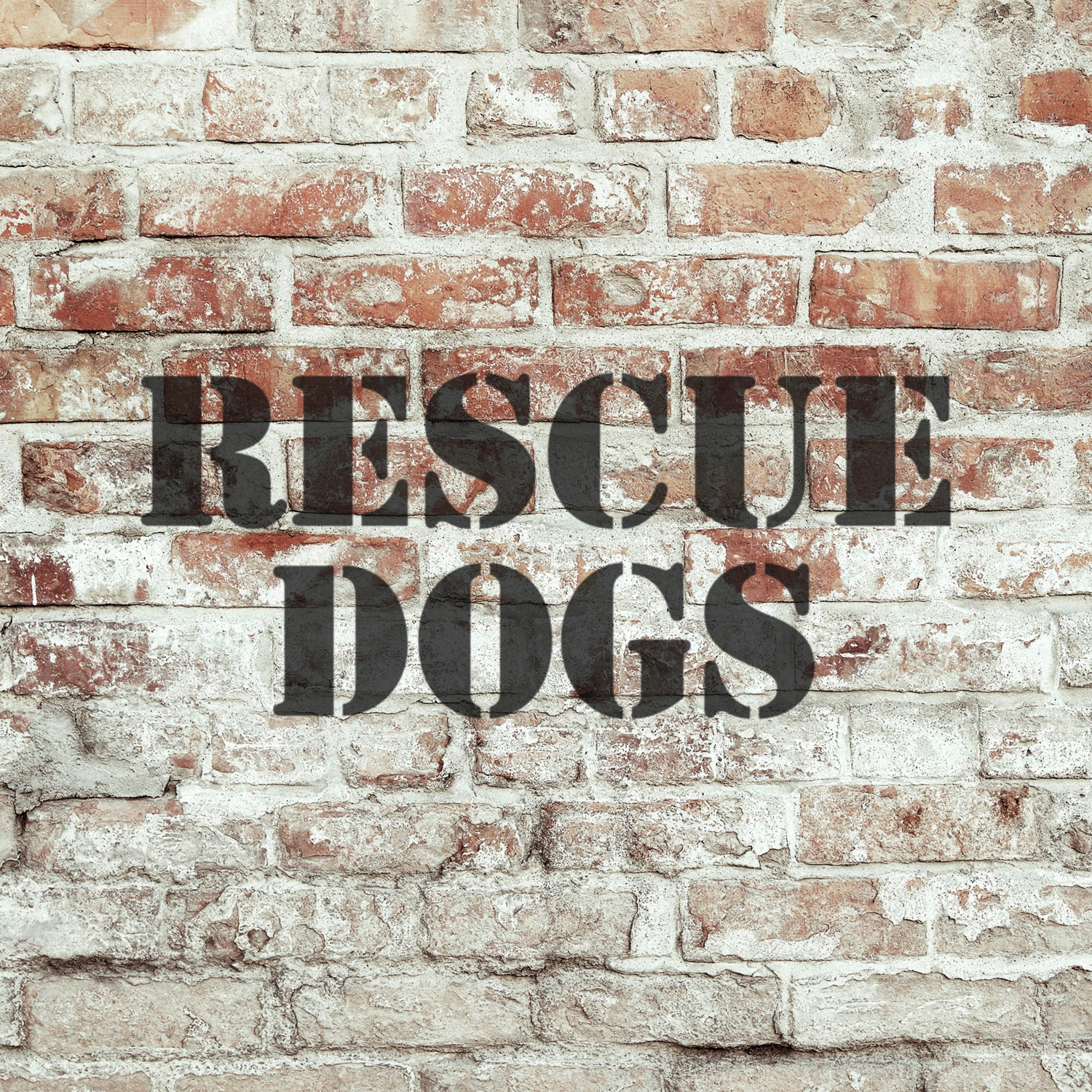 Rescue Dogs